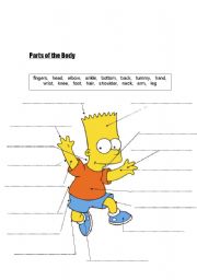 English Worksheet: Parts of the body