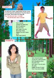 English Worksheet: Present perfect and our environment
