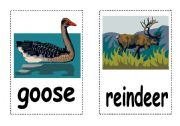 English Worksheet: Animals : Flash Cards - Part III