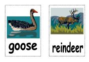 English worksheet: Animals : Flash Cards - Part III