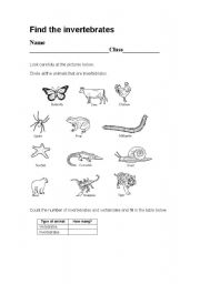 English worksheet: vertebrates-invertebrates