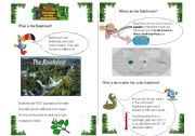 English Worksheet: The Rainforest