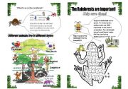 English Worksheet: The Rainforest- part 2