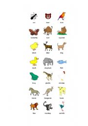 English worksheet: Animals Picture Dictionary (1st part)