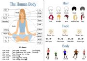 English Worksheet: the human body