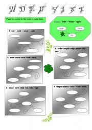 English worksheet: Word vine