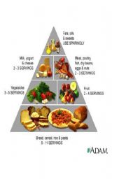 English Worksheet: pictures about food