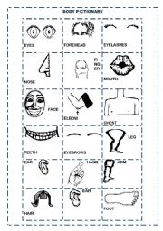 English Worksheet: BODY PARTS PICTIONARY