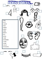 English Worksheet: MATCH THE BODY PARTS