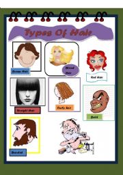 Types of Hair