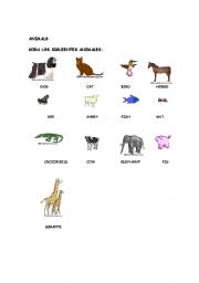 English worksheet: animals