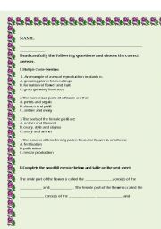 English worksheet: plant reproduction