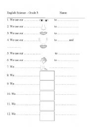 English worksheet: Parts of Body