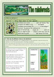 English Worksheet: What are the rainforests?