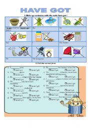 English Worksheet: HAVE GOT