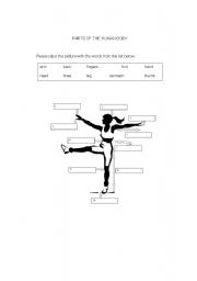 English worksheet: human body