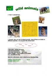 English worksheet: wild animals