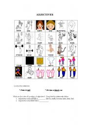 English Worksheet: Adjectives