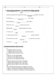 English worksheet: Grammar Test