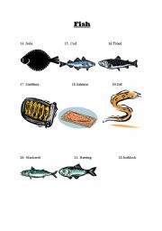 English worksheet: Fish