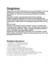 English worksheet: dolphins