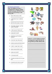 English Worksheet:  4 PAGES WITH WARMERS AND REVIEW ACTIVITIES FOR  INTERMEDIATE STUDENTS