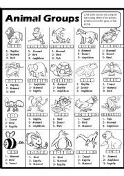 English Worksheet: Animal Groups