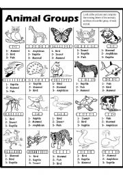 Animal Groups-2 - ESL worksheet by Amna 107
