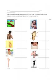 English worksheet: The body