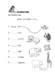 English Worksheet: ITS  A ANIMAL ...