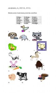 English worksheet: ANIMALS, PETS AND ANOTHERS 