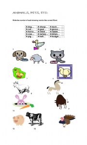 English Worksheet: ANIMALS, PETS AND ANOTHERS 