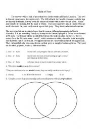 English Worksheet: Nonfiction Comprehension Activity