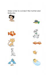 English worksheet: Mothers and their Babies
