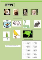 English worksheet: PETS