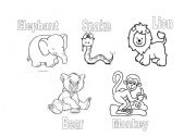 English Worksheet: jungle animals