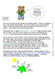 English Worksheet: Photosynthesis