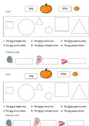 English Worksheet: sizes