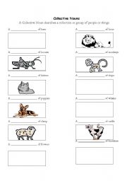 English Worksheet: Collective Nouns