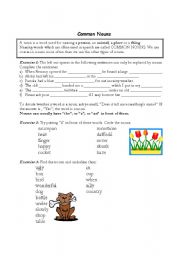 English worksheet: Common nouns