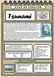 Tsunami TEST OF ENGLISH