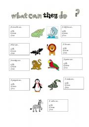 English Worksheet: what can they do?