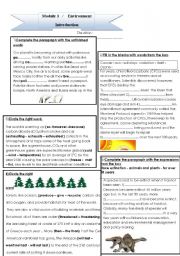 English Worksheet: environmental problems