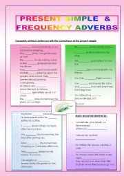 English Worksheet: PRESENT SIMPLE & ADVERBS OF FREQUENCY (2 pages)