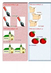 English Worksheet: plural( to follow)