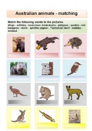 Australian animals matching or flashcards