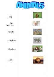 English Worksheet: Animals