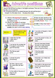 English Worksheet: adverbs positions