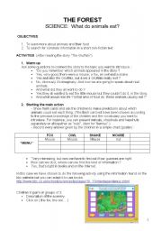 Lesson plan.The Forest:What do animals eat?