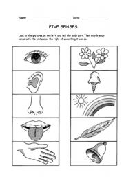 five senses esl worksheet by raponxi